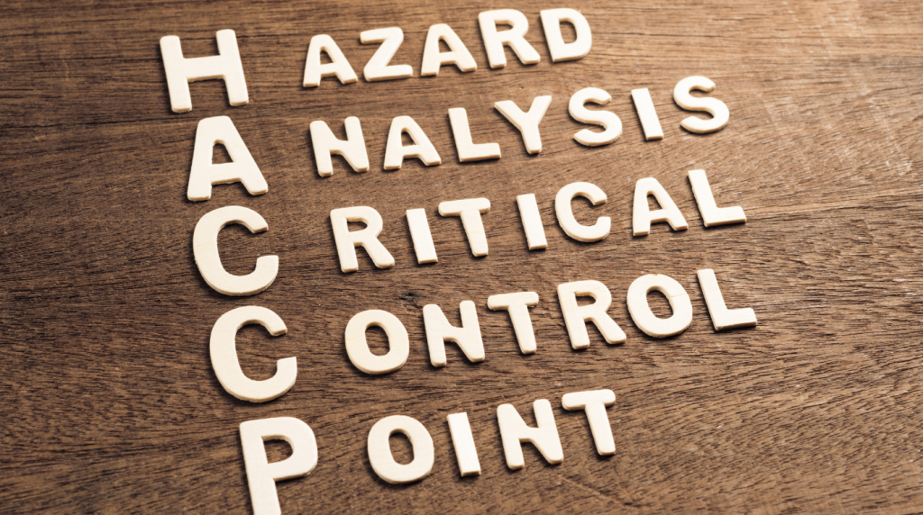 HACCP Plan UK: What It Is and How to Create One